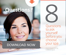 icon to article 8 questions to ask before you buy